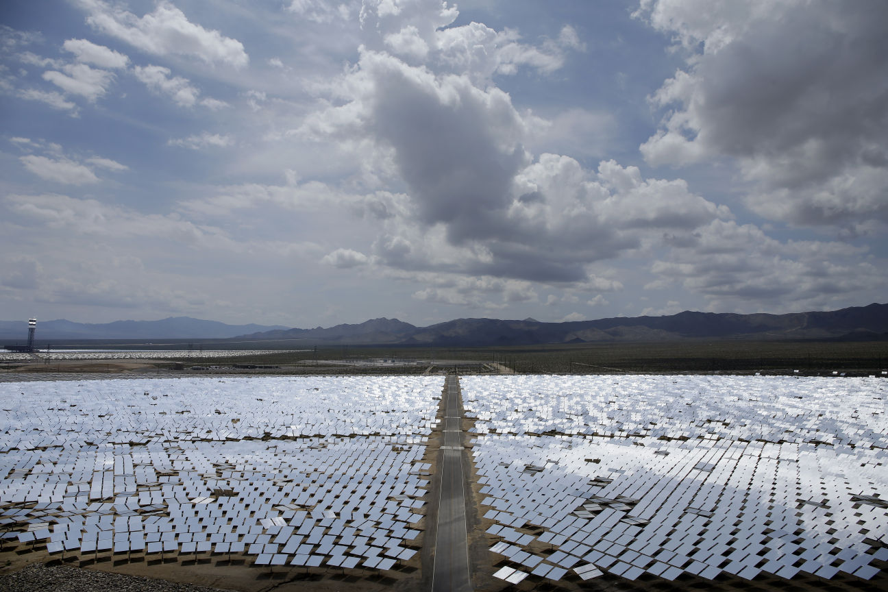 Solar plant scorches birds